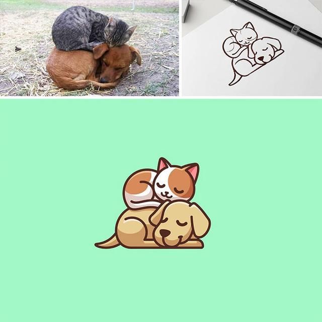 插画师|他把现实中的动物画成漫画插图，萌出血了