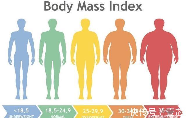 姑娘|240斤澳洲姑娘为参加毕业舞会，2年怒减120斤，减脂成功惊艳众人