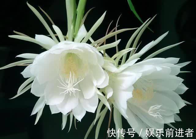 人的一生!品苏轼《赏心十六事》:如果感觉累了就停下来,读读这首诗放松下