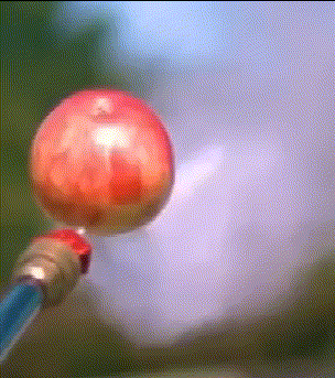 |搞笑GIF段子:妹子出来遛狗,拉都拉不住