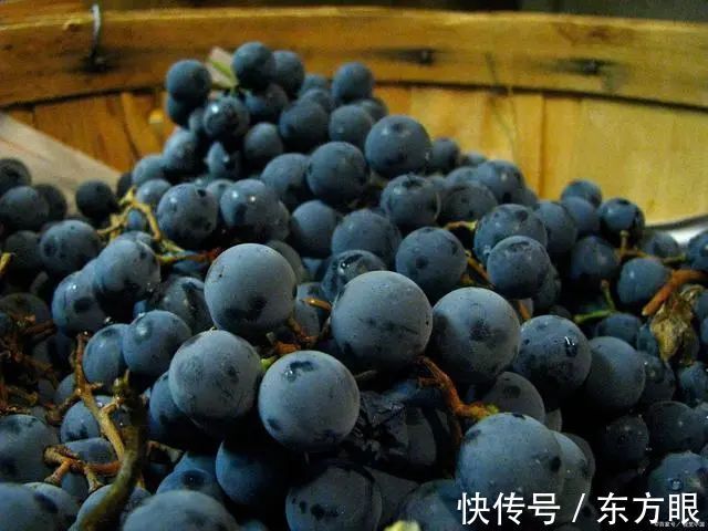 维生素c|十大健康水果排行榜,第一名竟然是它,每天吃一个好处多