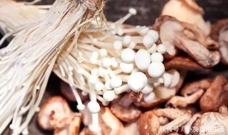 绿叶菜|七种“隔夜菜”吃不完要赶快倒掉,别舍不得,尤其是第三种