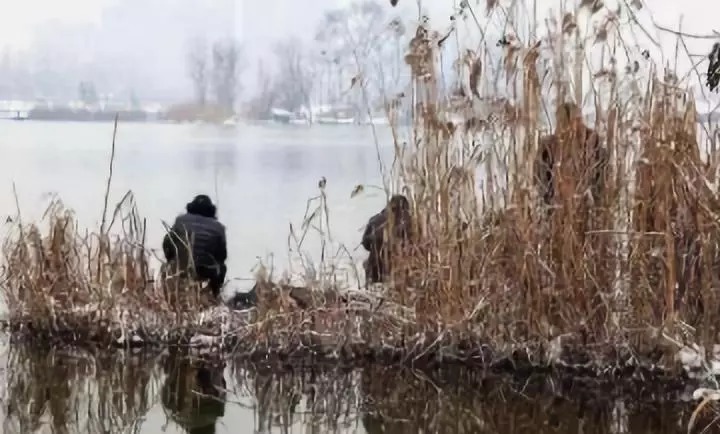 别封竿,钓鱼空军有救了,冬天钓大板鲫最拿手的绝技分享
