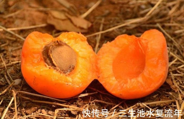 致癌物质|患了癌症不用慌, 常吃这些小食材, 癌细胞或许会和你说拜拜