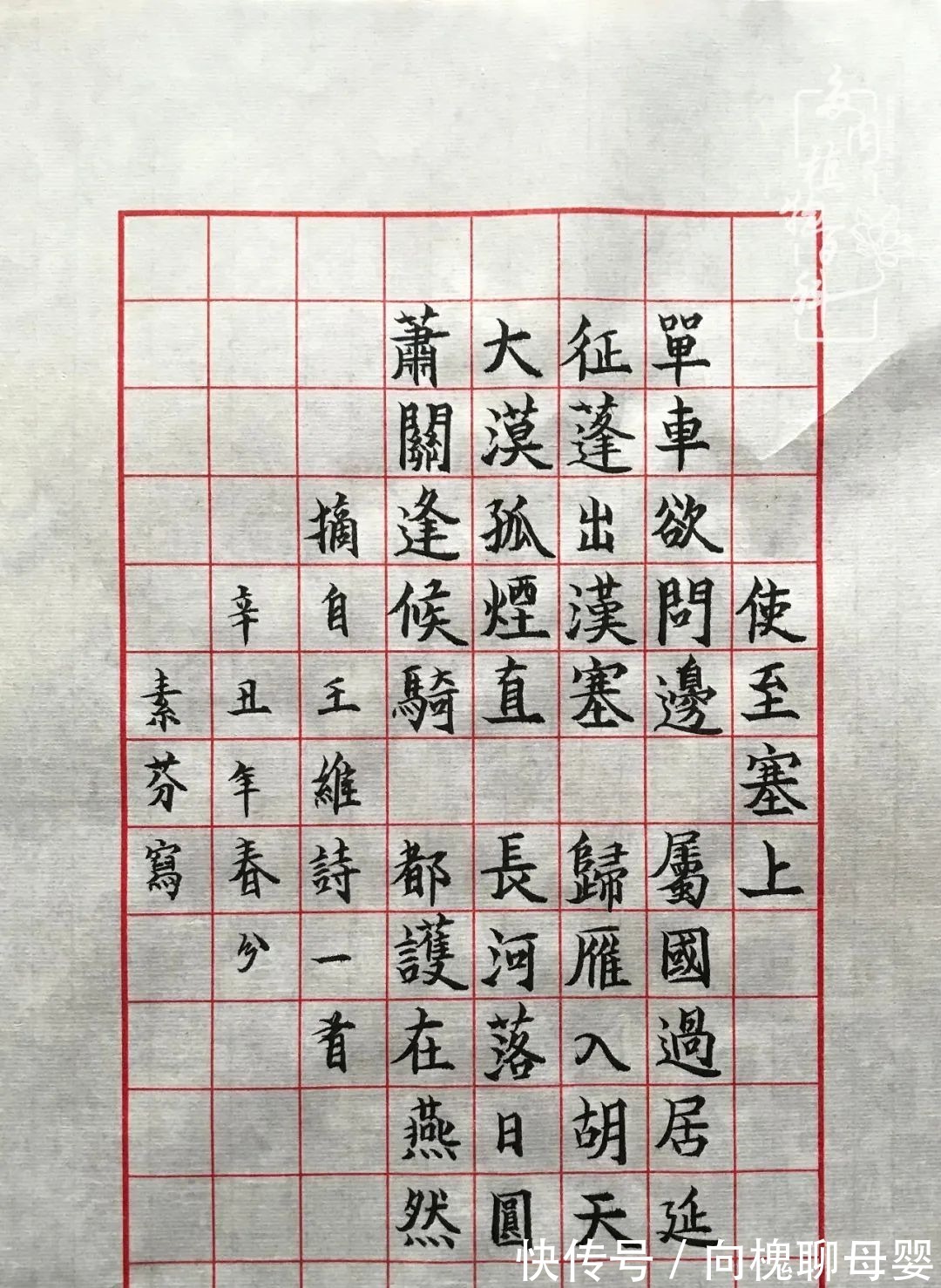 一种爱好就是一种境界,养花养多肉可以培养一个人的心境!