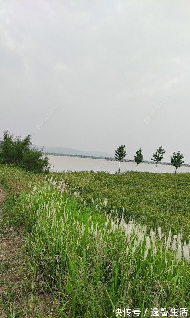 西南风|天刮西南风气死老钓翁野钓风向对鱼获影响知多少