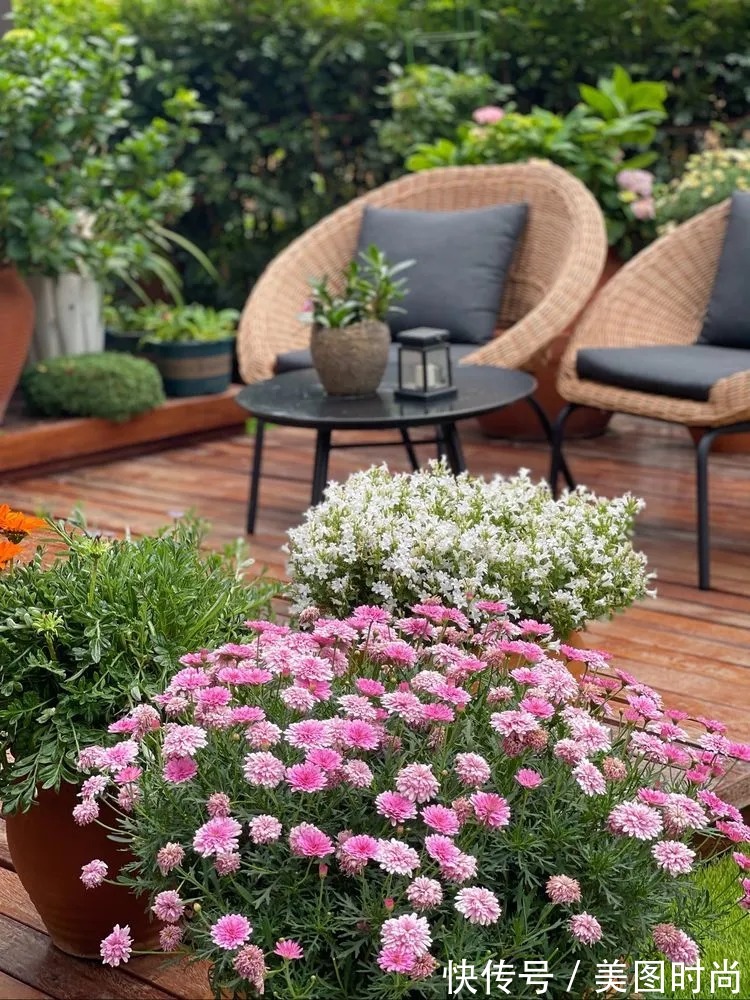 下午茶|一楼430㎡大院子，用1年半建成花园，网友：你这是建了个公园吧？