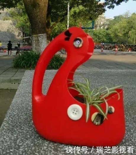 家中用完的“洗衣液桶”别丢了,剪上2刀,秒变养花神器,太美了