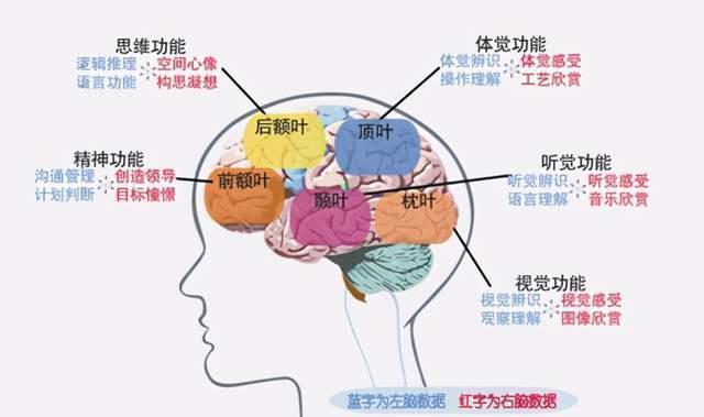 成长教育|如何毁掉孩子专注力？不断做这件事就够了，多数家长还在重蹈覆辙
