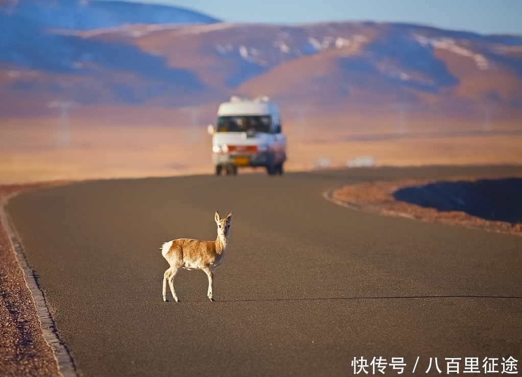 西部的美，都在公路上