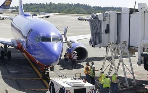 空姐1对1服务,可满足你的任何要求,不过机票价格高达15万