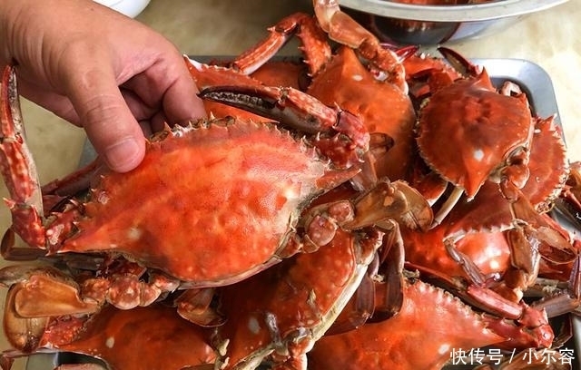 螃蟹|蒸螃蟹时,加葱加姜都不对!多加这2步,螃蟹不流黄不断腿,香