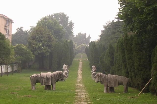 一起长大$古墓被盗一空,专家临走发现一蓝色至宝,价值能令盗墓贼后悔死