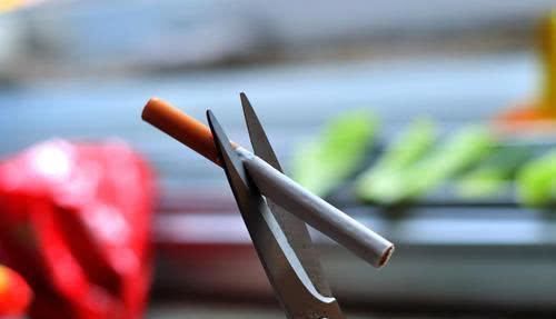 饮酒|生男生女,决定权在男性还是女性手里?不妨看看科学的解释