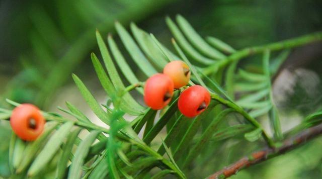 道德经|老子在《道德经》中说要让人空着自己
