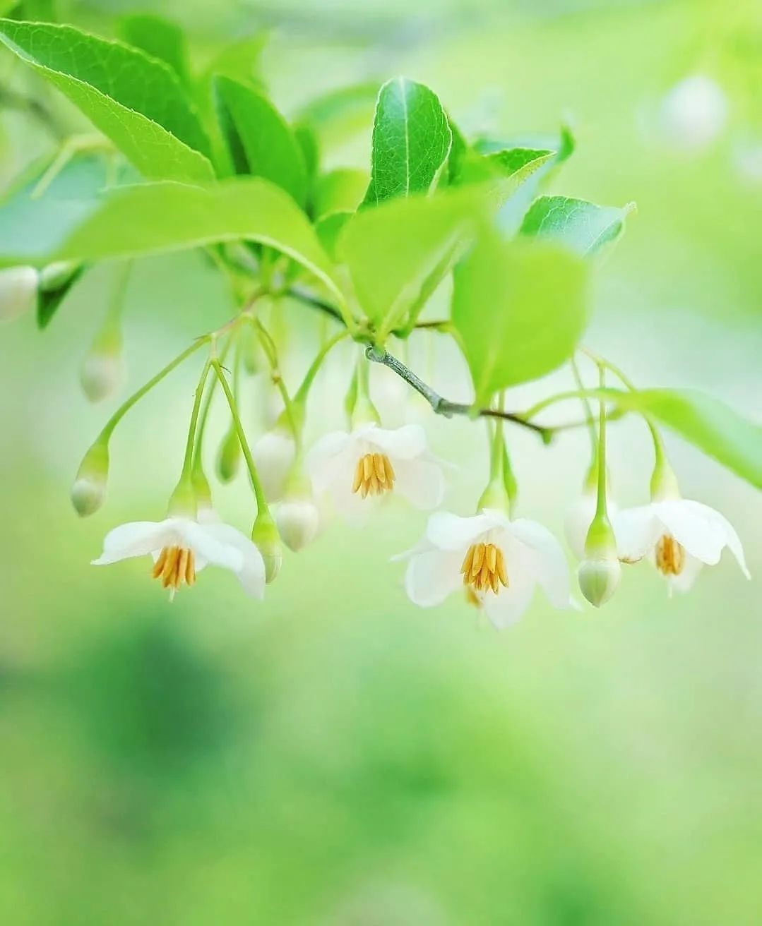 荐读|荐读——人生的最高境界,就一个字:给!