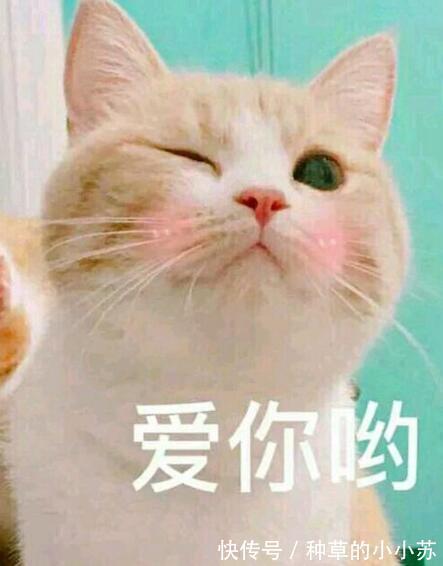 氨基酸洗面奶|敏感肌必入的洗面奶！连皮肤科医生都推荐的洗面奶，值得无限回购