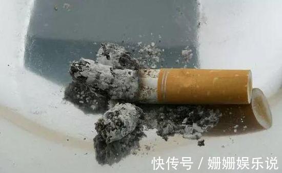 花草生虫害该如何解决学会''3种灰''的用法,养花不再头疼