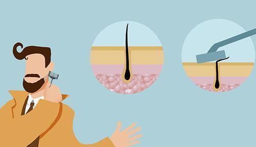  频率|刮胡子的频率，会影响男性寿命忠言劝告三个时间段别刮胡子