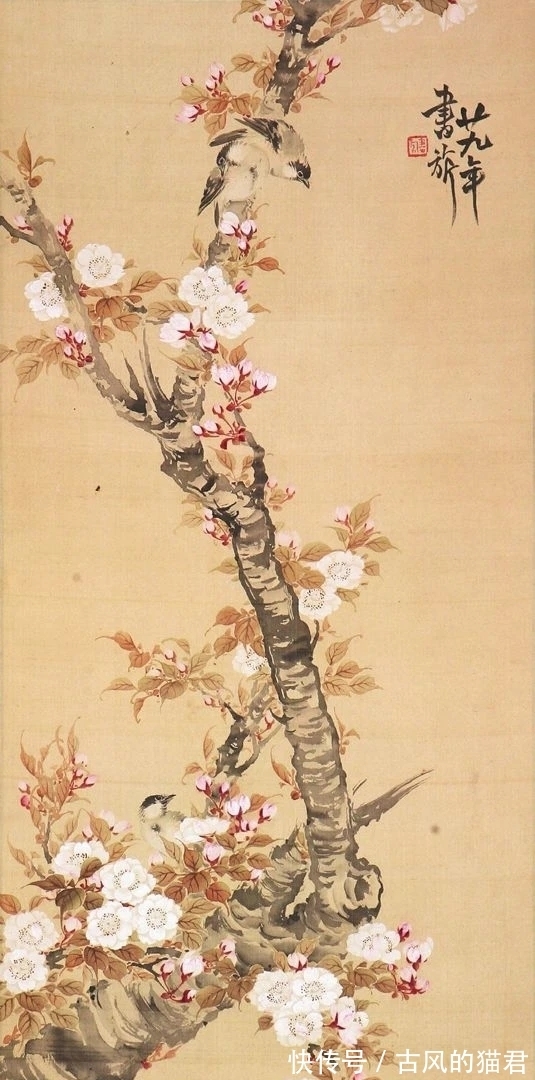 花鸟画!独特的魅力|张书旂花鸟画