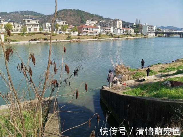 钓位好不好就看这3点,一条都不符合可别下杆,免得浪费窝料?