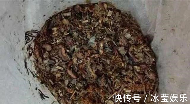 花卉|悄悄告诉你,学会4个老花农的养花“偏方”,家里花卉“嗖嗖长”