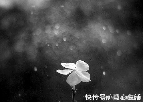 修养!一个人能做到这四点,不富就是贵,一定有伟大的成就