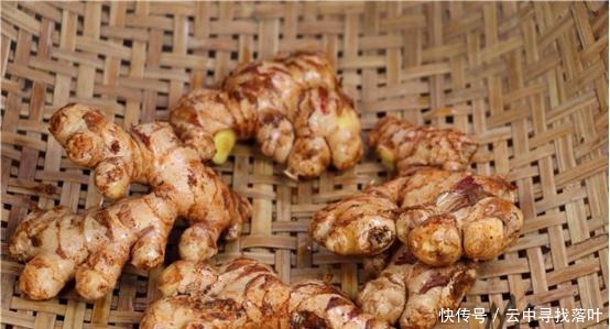 原来保存生姜这么简单,教你一招,不干不发芽,真是高手在民间!