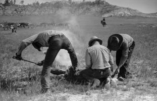 想法|日军偷袭珍珠港，为何不乘胜进攻美国本土有想法还得有能耐