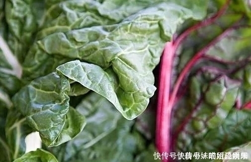难吃|过去以难吃出名的野草,后来被用来喂猪,现在又成了天然蔬菜!