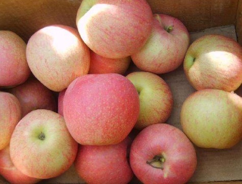 红枣|女性失眠睡不着,多吃8种水果,美容养颜,一觉睡到天亮