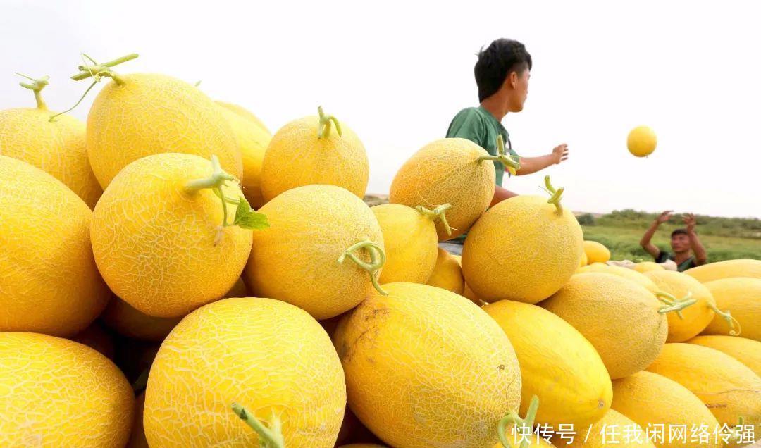 城市|为了吃必去的十大城市!