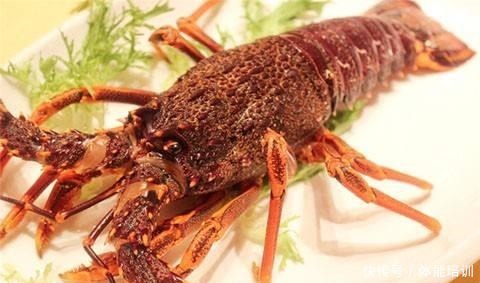 龙虾界的冒牌货,只因名字里有“龙虾”二字,“骗”了吃货不少钱