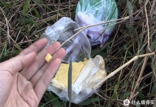 玉米面|夏季外出钓鱼，这2款自制饵料来助你，取材方便效果绝佳，别错过