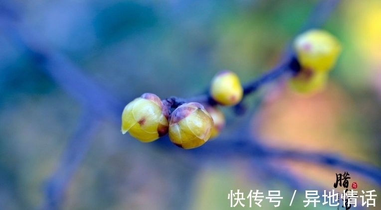 传统节日#诗词鉴赏-腊八|十二首有关腊八的古诗词,带给你不一样的腊八节