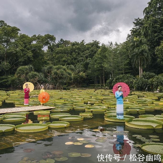 圣地|旅游来云南圣地告庄西双景