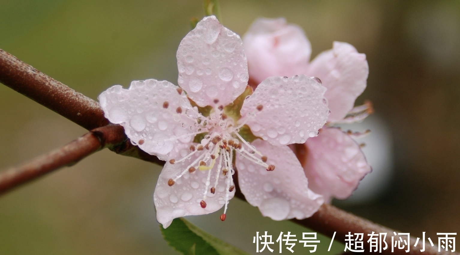 风雨|未来七天，风雨不改，睡到自然醒，3生肖全力挽回，前任痴心不变