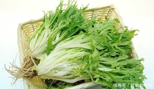  善待|遇见此野菜，就善待它吧，目前太珍贵了，人称“皇帝治病菜”