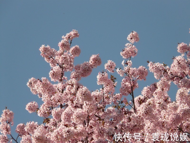 肖女|有苦有泪不轻言的3大生肖女，不想让人看不起，骨子里透露着骄傲