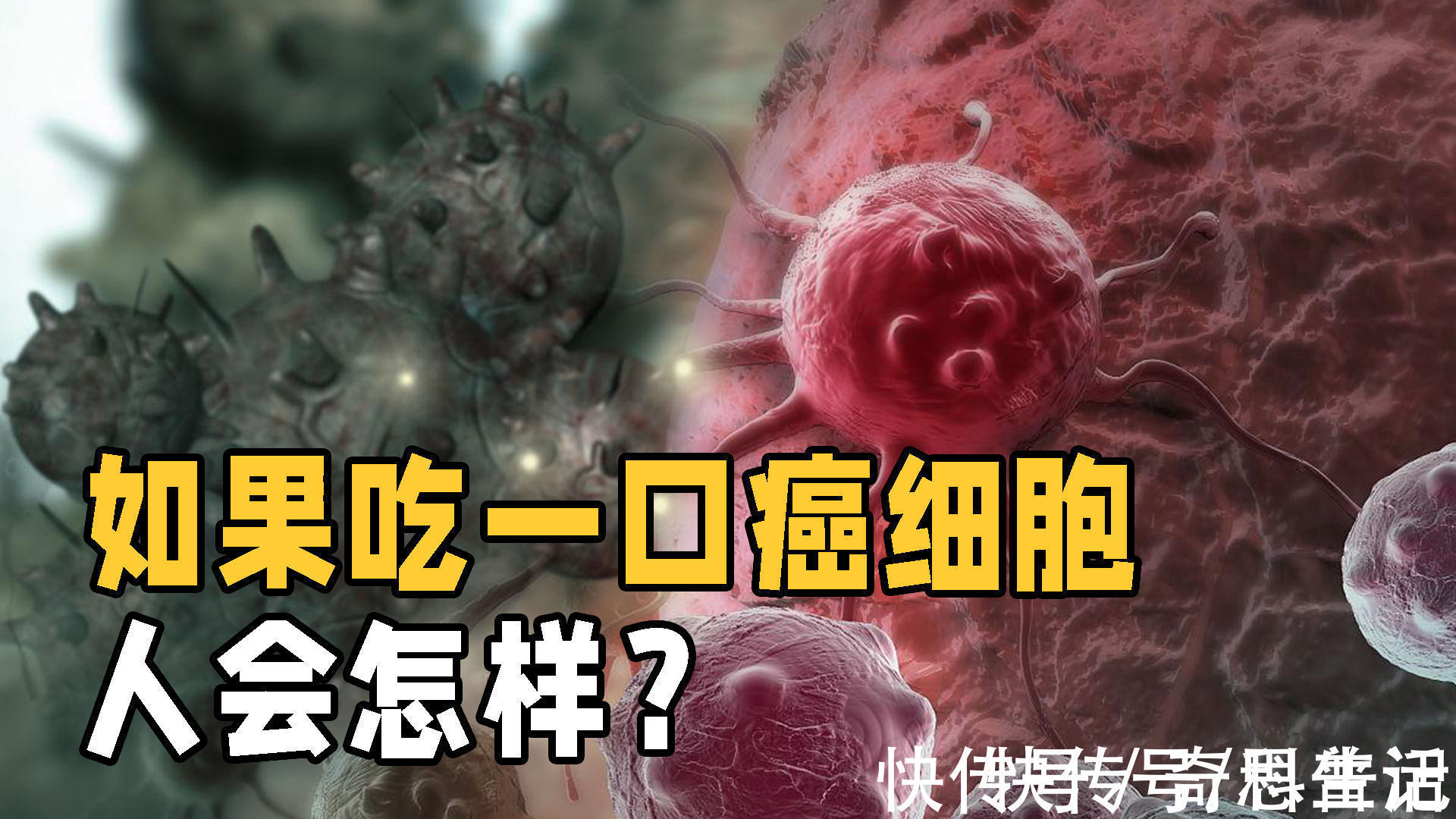 细胞|癌细胞为什么这么顽固?假如吃下一块癌细胞,人体会发生什么?