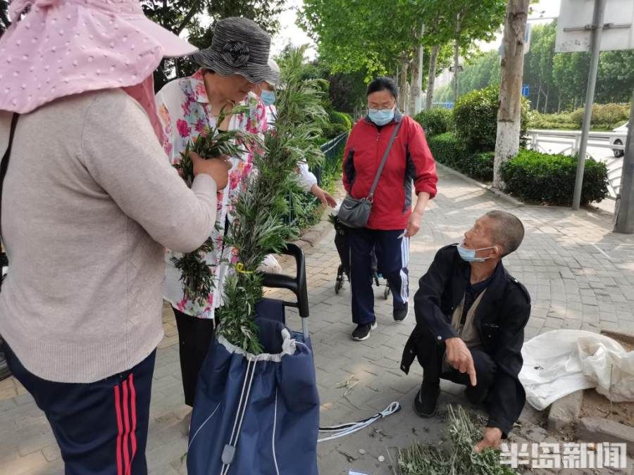 端午|端午到，艾草香