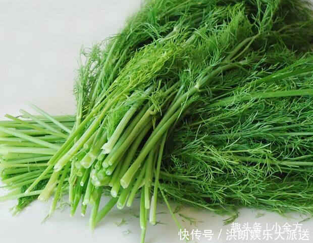 茴香|养肝第一水、补阳第一菜，初夏要牢记，隔三岔五吃，肝好阳气足！