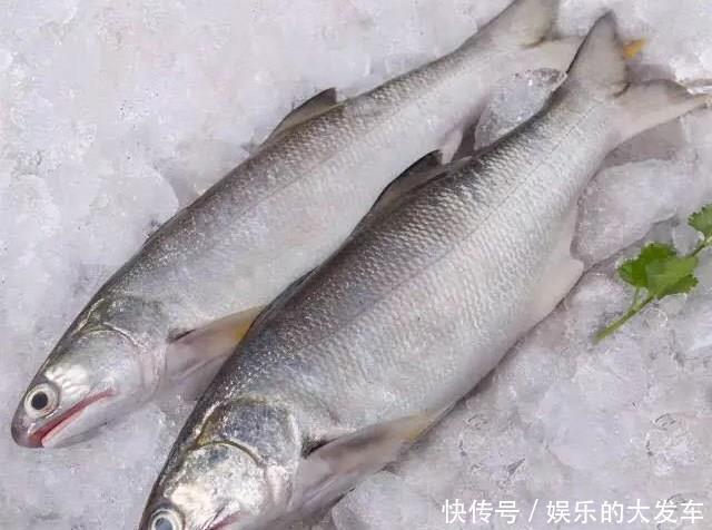 这鱼是鱼中精品，口感鲜香嫩滑，鱼刺少营养高，老人小孩宜多吃