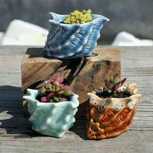 高温天气如何服盆？一招让多肉成活率达90%