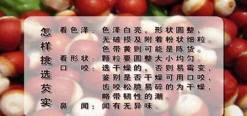  祛湿|这个植物是健脾高手！常吃能去湿气、调理脾胃，冬季吃它正当季