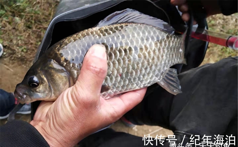 冬季钓鱼,提升咬钩量的3个办法,天冷还想爆护,这些方法要常用