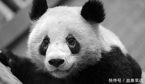 长期失眠,多半是肝火过旺,常吃2红1黄,降肝火睡得香