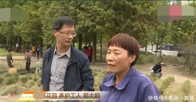 老年|网红花海仅仅维持了三天, 被踩成烂草地, 负责人: 种了3年撑3天