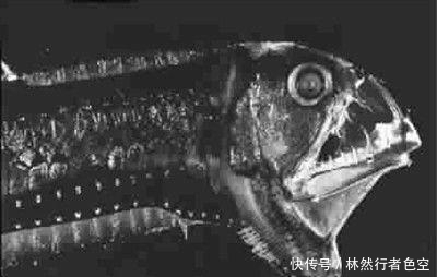 人类首次进入地球11034米深处,到底看到什么吓得他们差点掉头?