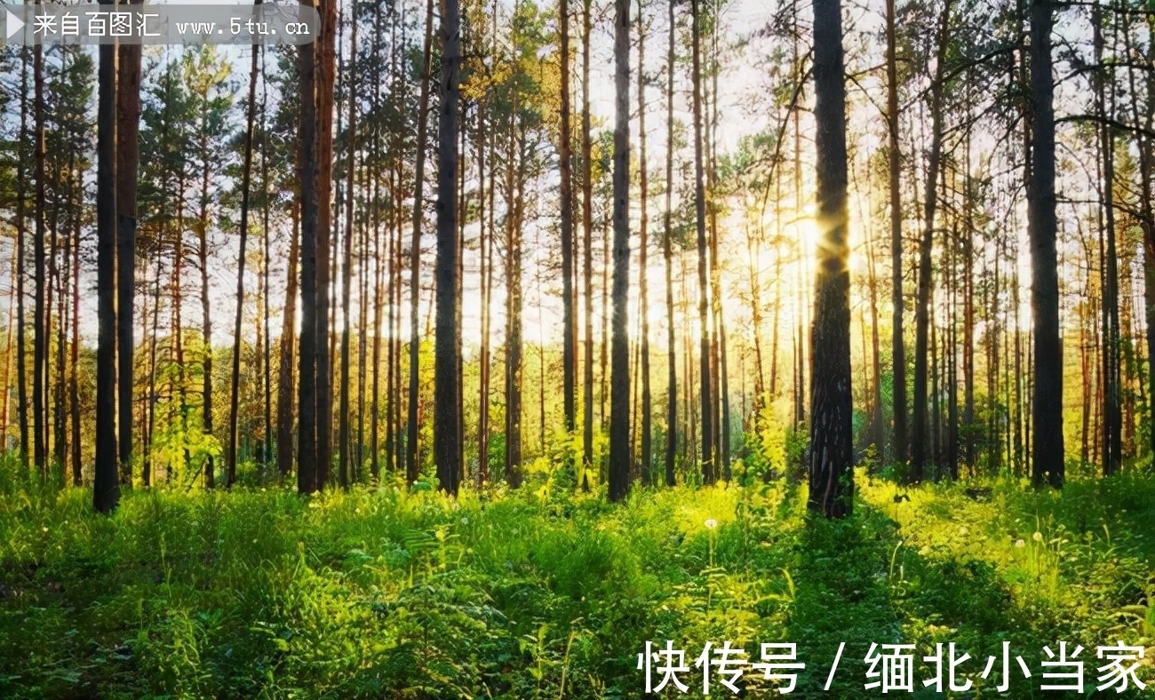 这首诗&王维很经典的1首绝句,如果现在参赛,未必能获奖,你觉得呢?